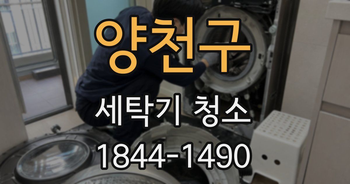 양천구 세탁기 청소