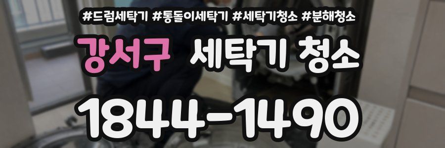 강서구 세탁기 청소