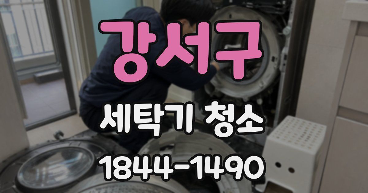 강서구 세탁기 청소