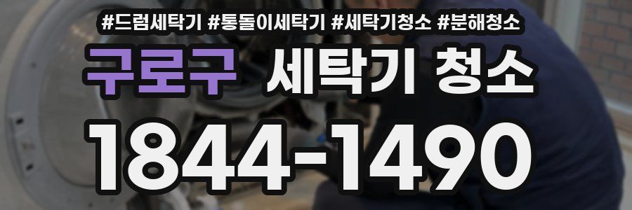 구로구 세탁기 청소