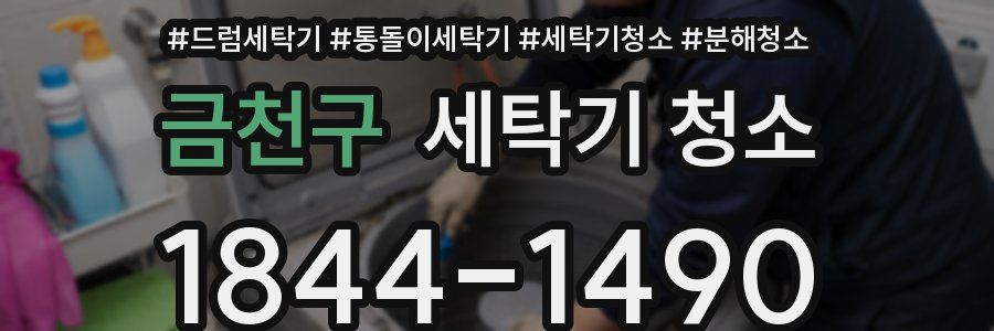 금천구 세탁기 청소