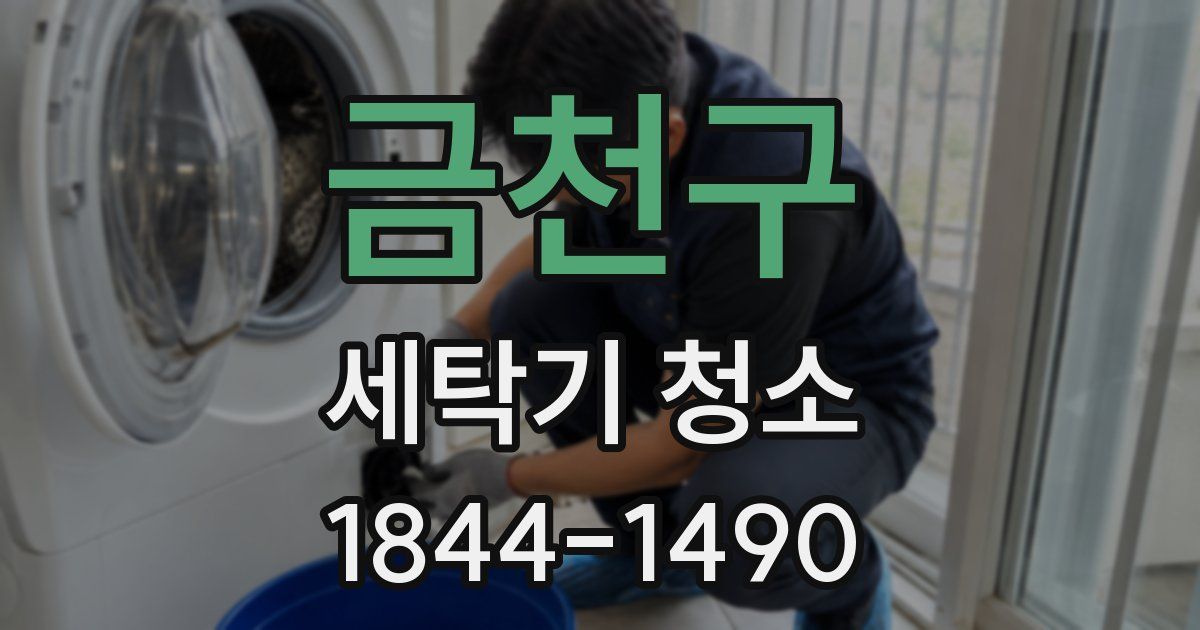 금천구 세탁기 청소