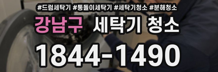 강남구 세탁기 청소