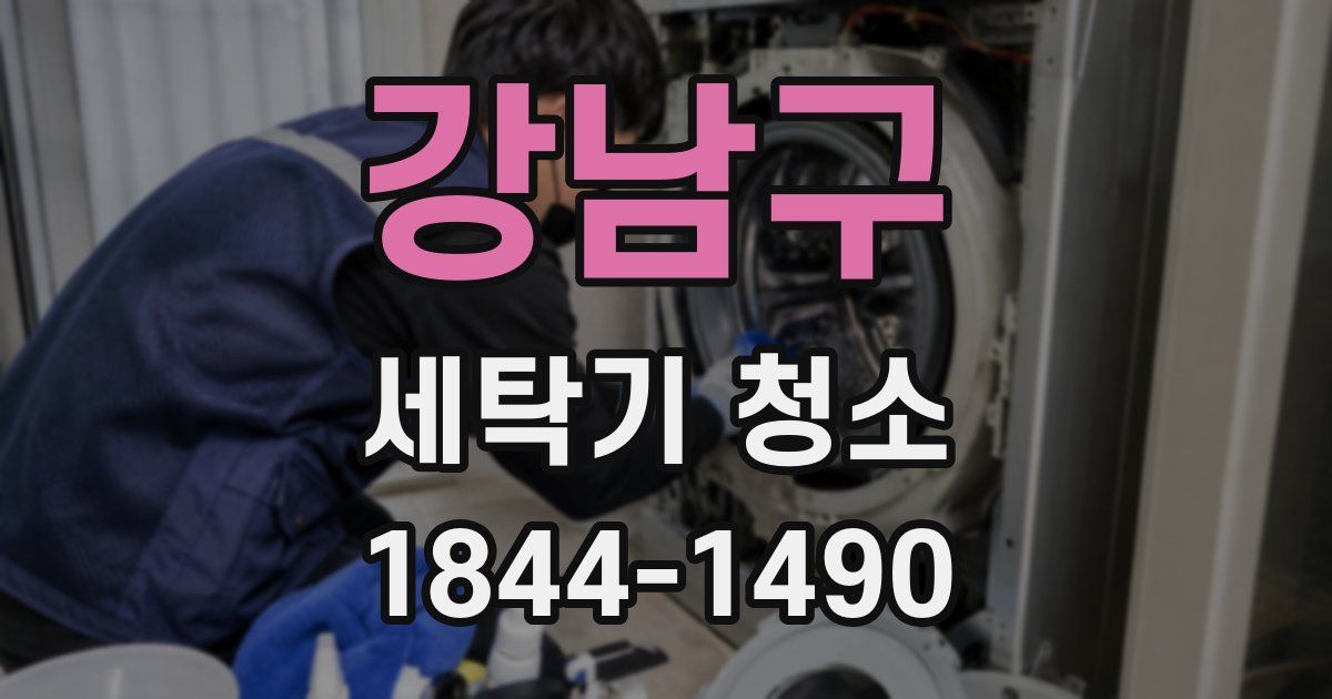강남구 세탁기 청소