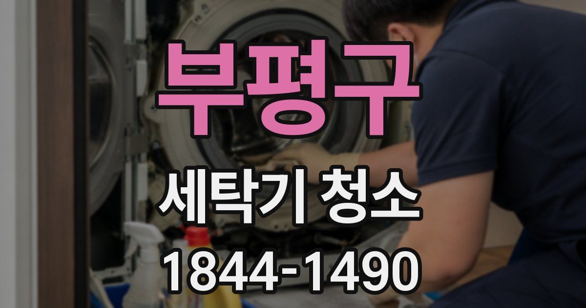 부평구 세탁기 청소