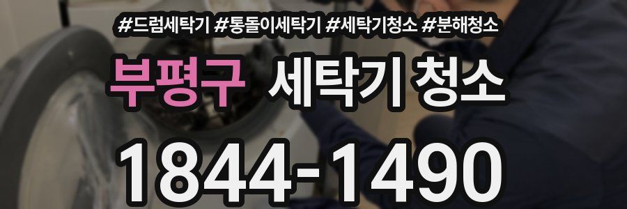 부평구 세탁기 청소