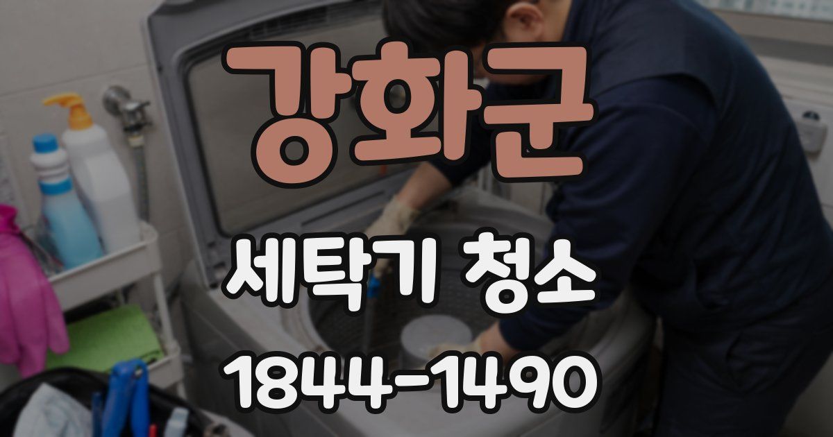 강화군 세탁기 청소