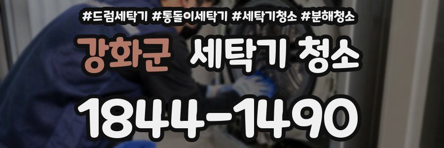 강화군 세탁기 청소