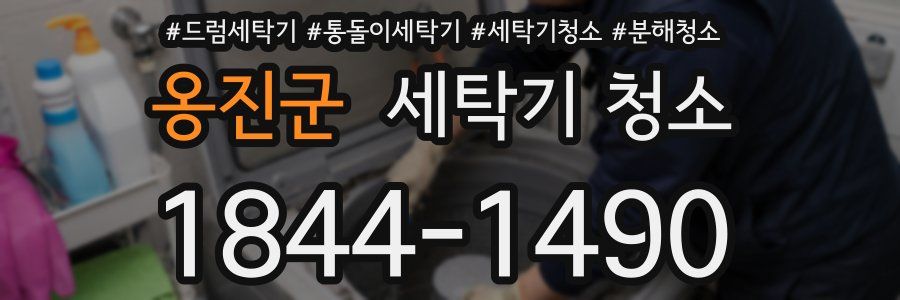 옹진군 세탁기 청소