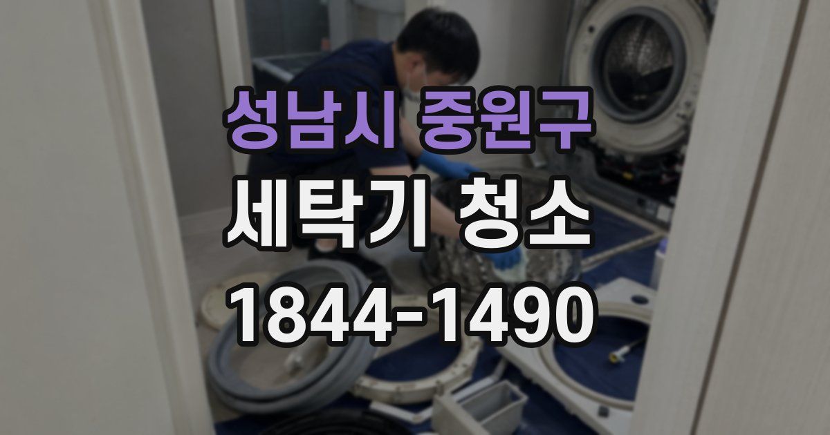 성남시 중원구 세탁기 청소