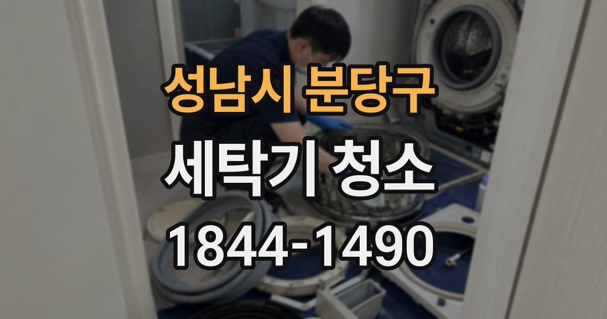 성남시 분당구 세탁기 청소