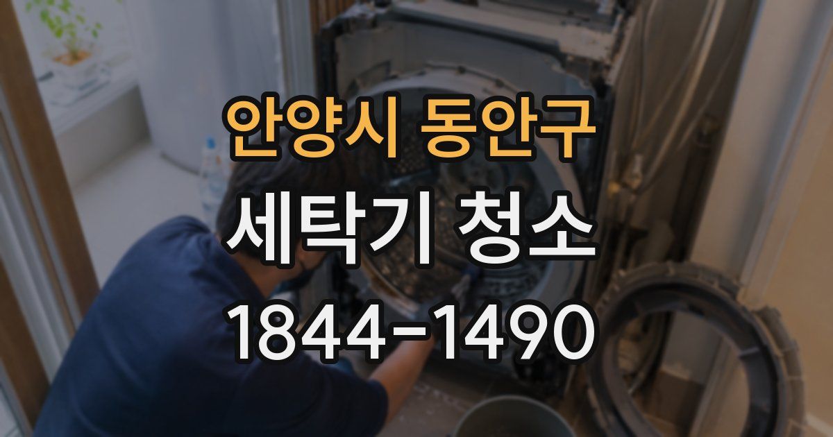 안양시 동안구 세탁기 청소