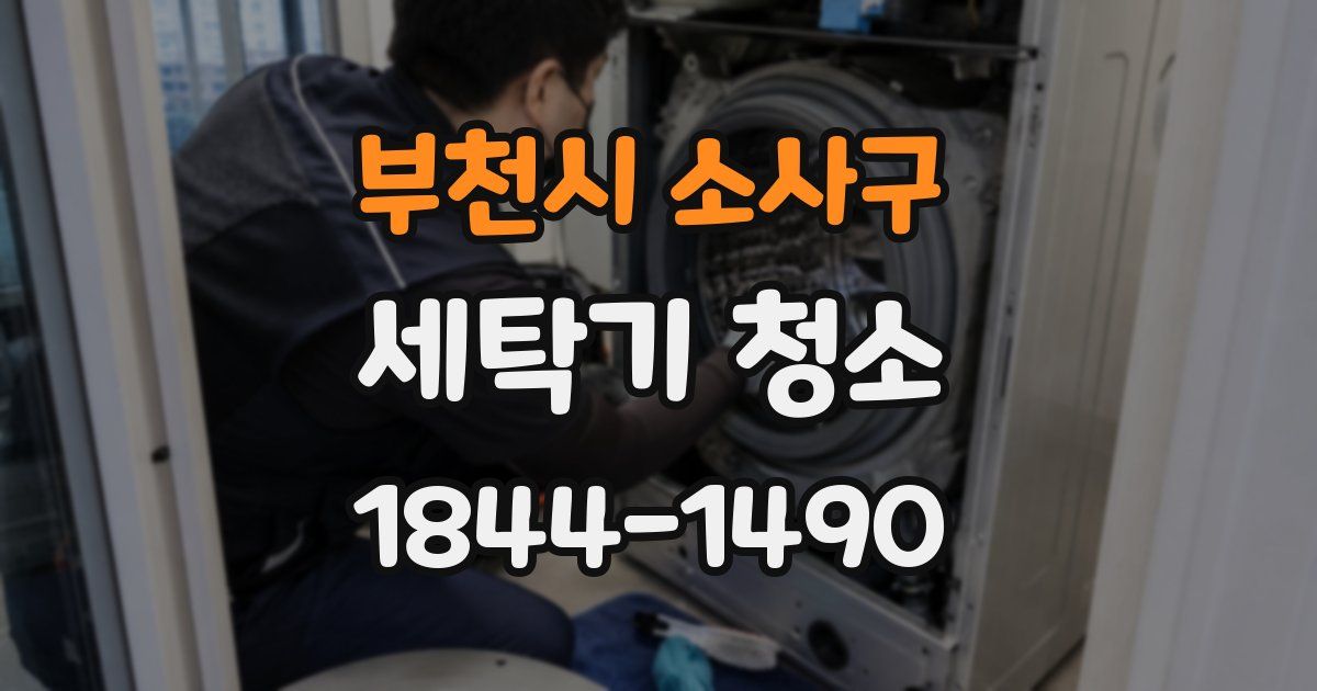 부천시 소사구 세탁기 청소