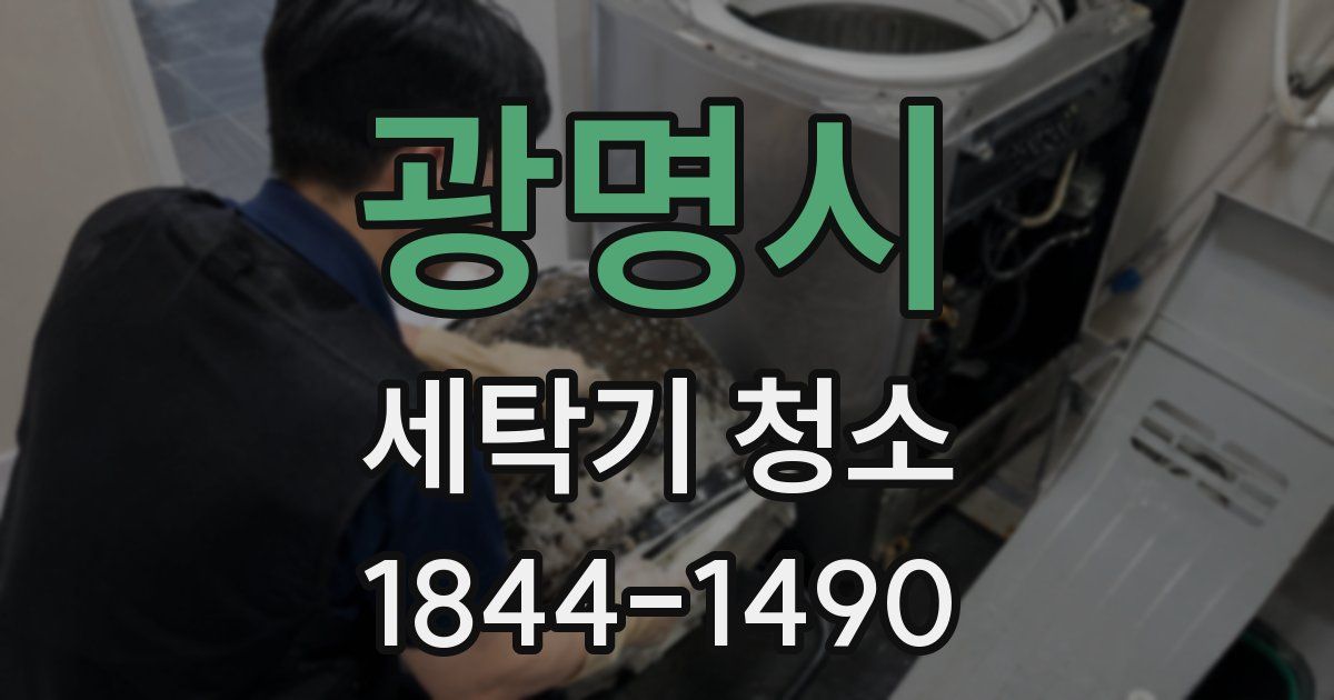 광명시 세탁기 청소