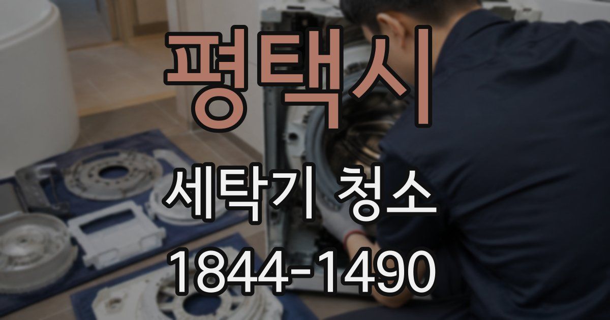평택시 세탁기 청소