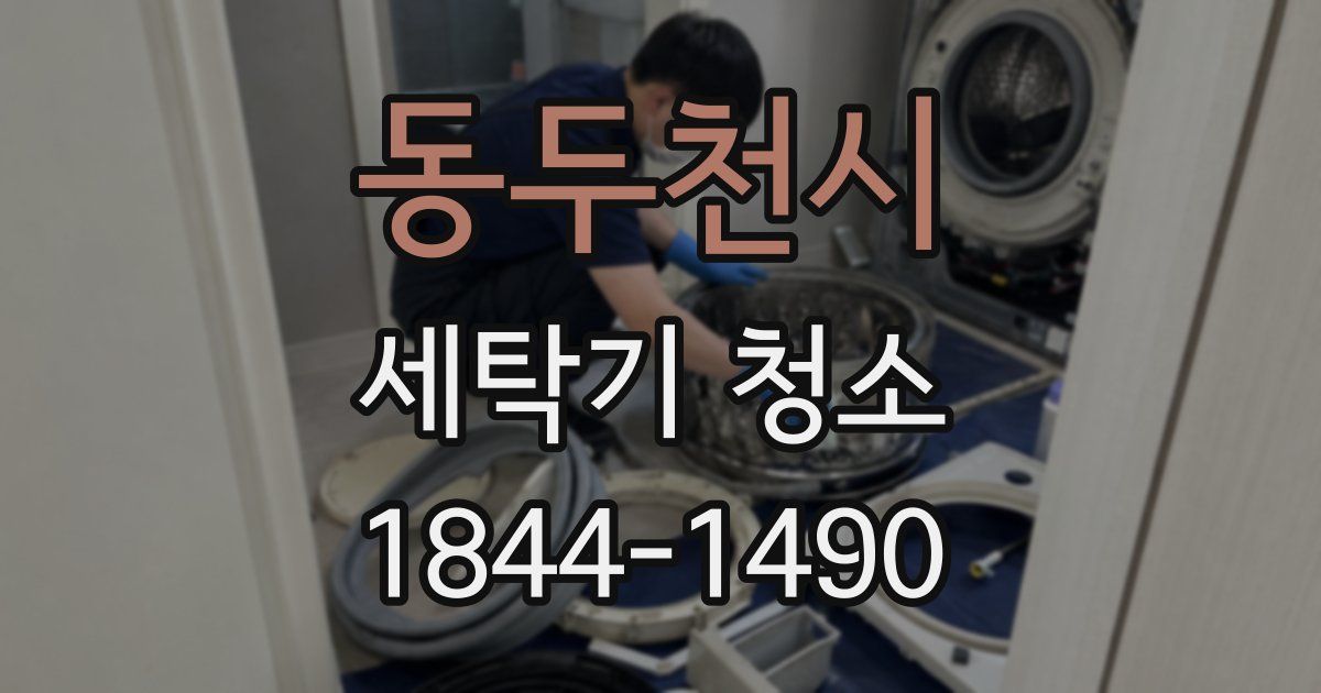 동두천시 세탁기 청소