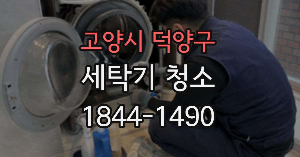 고양시 덕양구 세탁기 청소