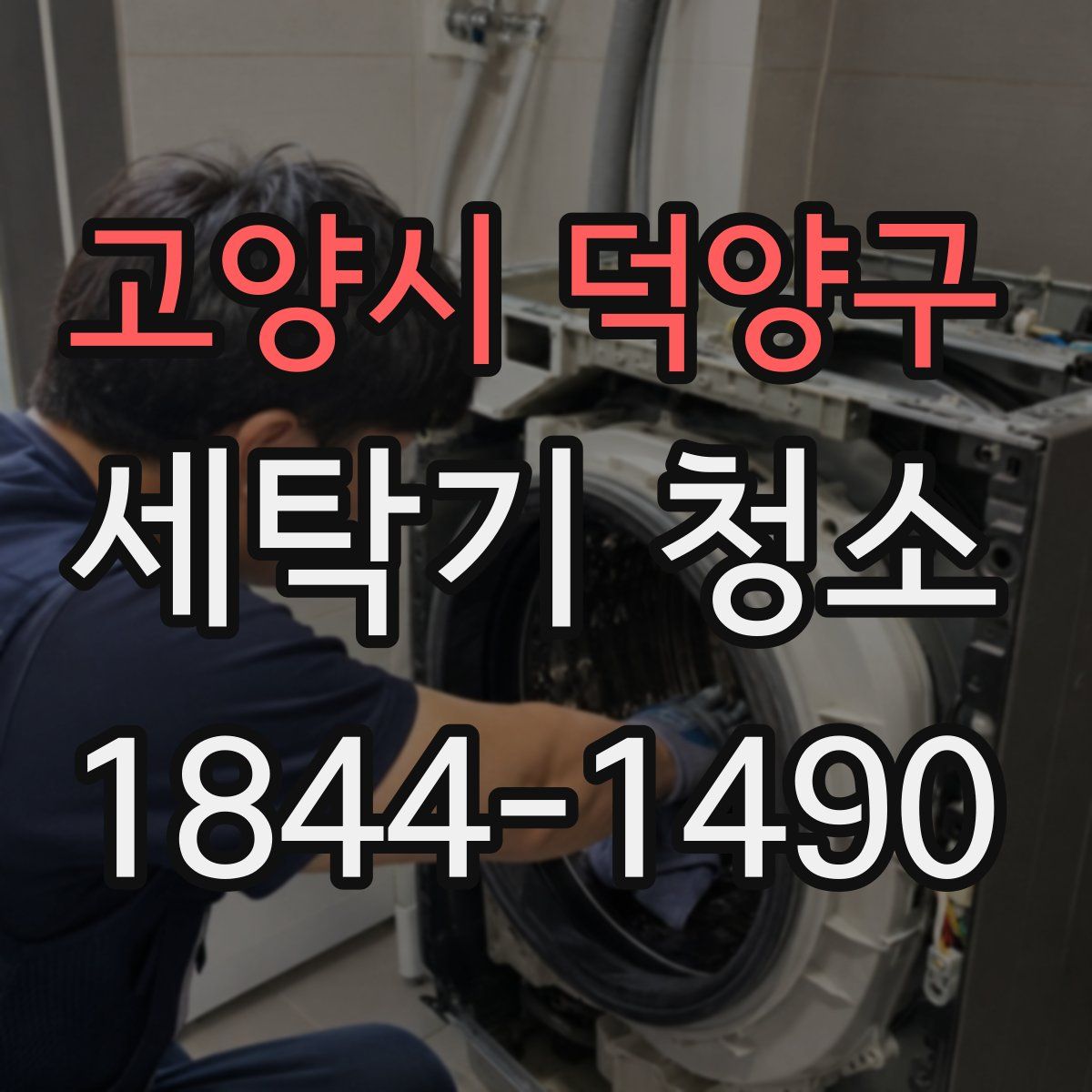 고양시 덕양구 세탁기 청소