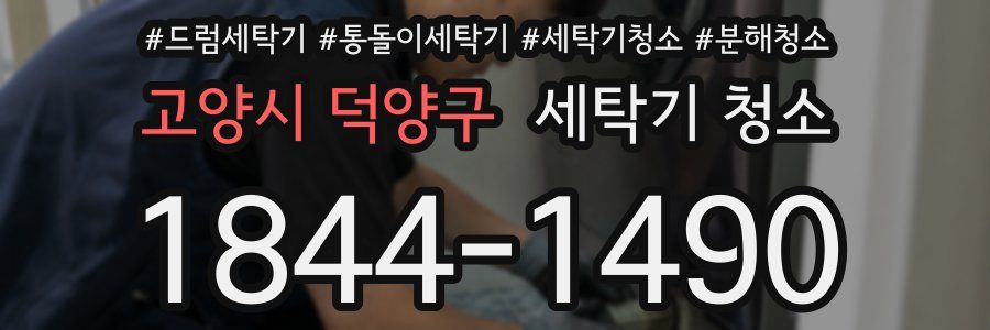 고양시 덕양구 세탁기 청소