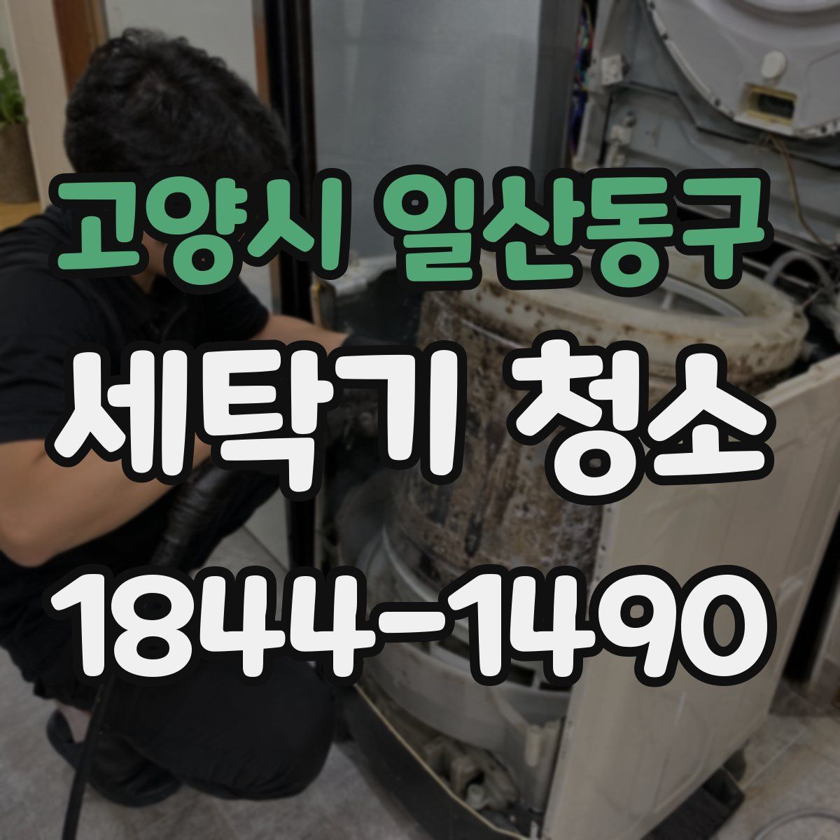고양시 일산동구 세탁기 청소