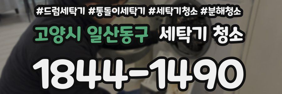 고양시 일산동구 세탁기 청소
