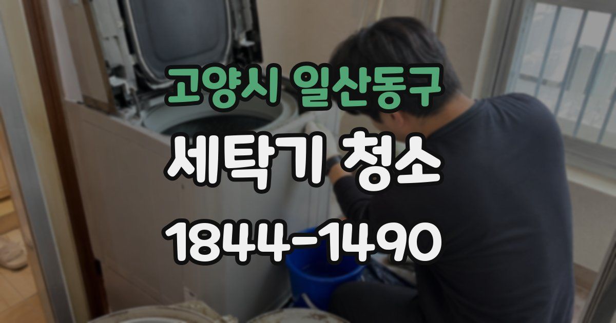 고양시 일산동구 세탁기 청소