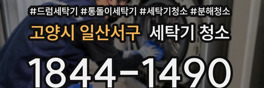고양시 일산서구 세탁기 청소