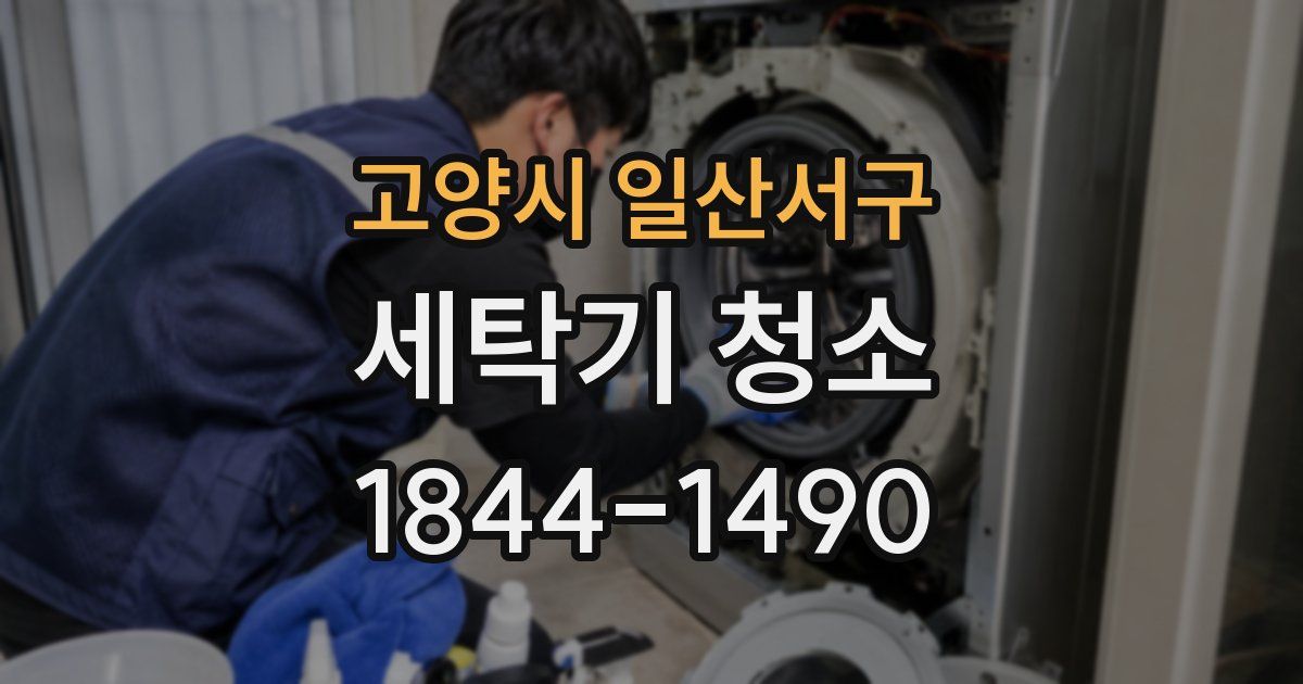 고양시 일산서구 세탁기 청소