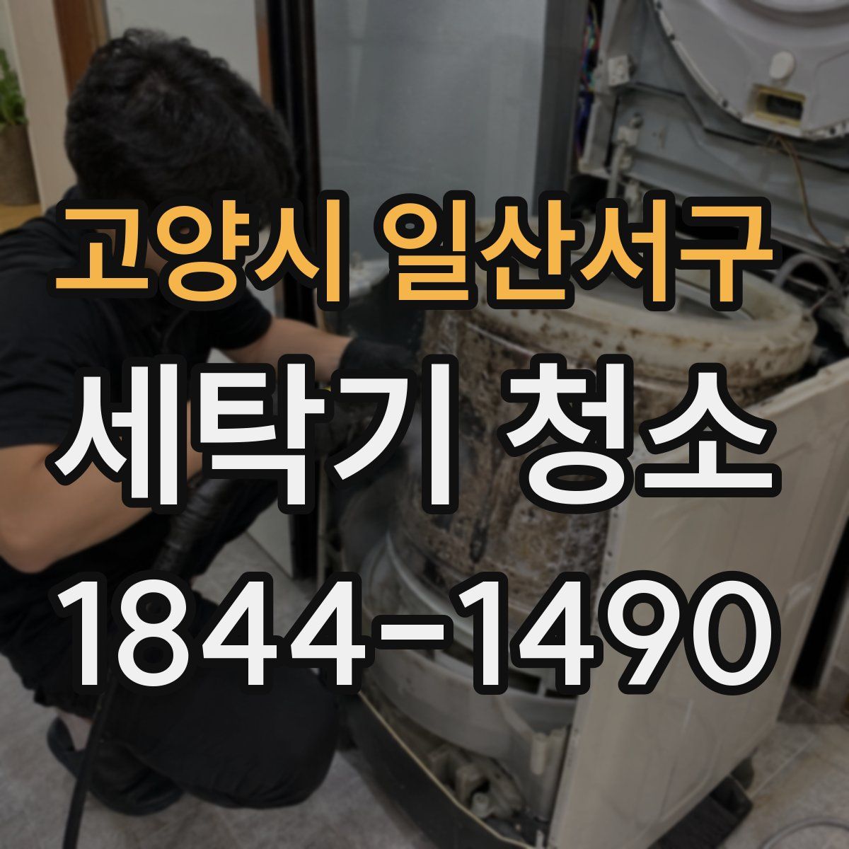 고양시 일산서구 세탁기 청소
