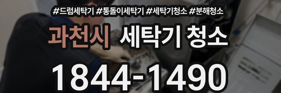 과천시 세탁기 청소