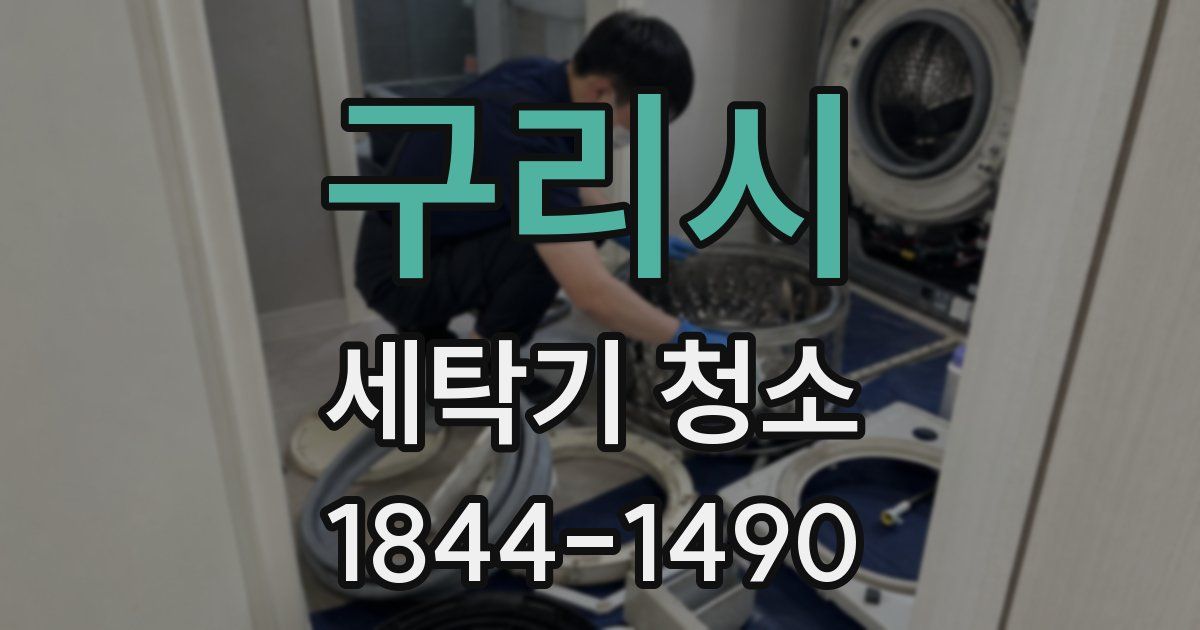 구리시 세탁기 청소
