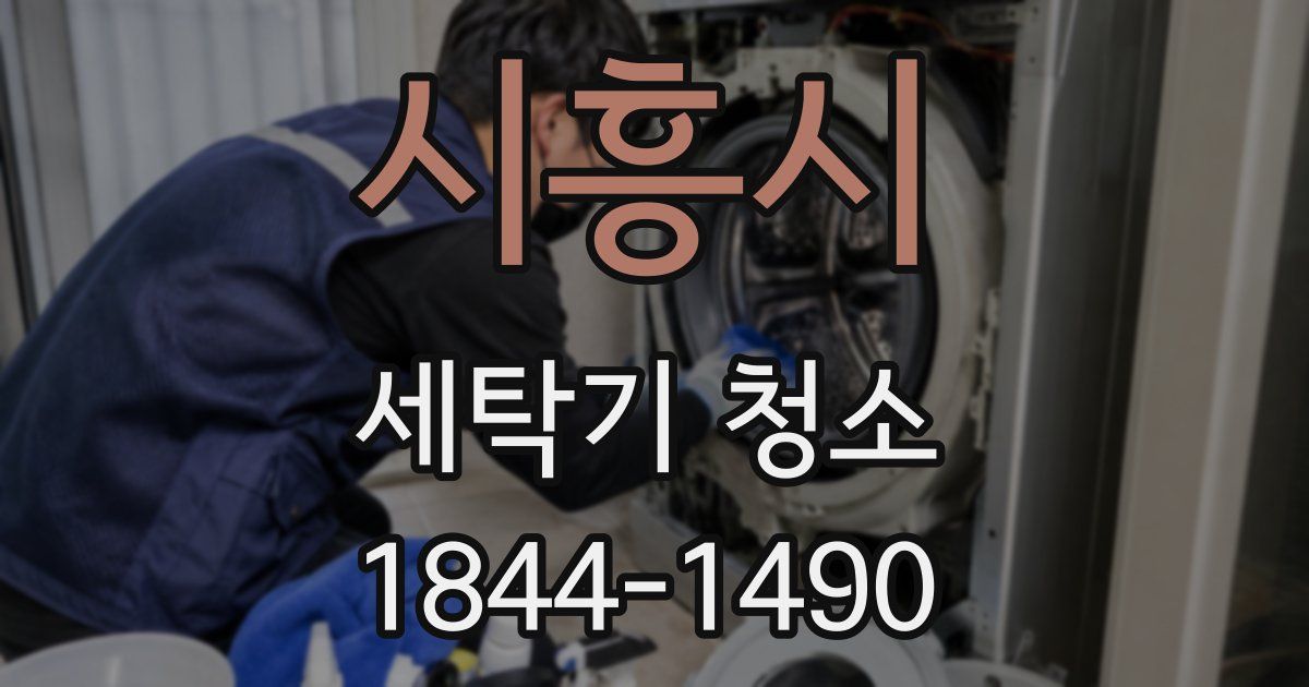 시흥시 세탁기 청소