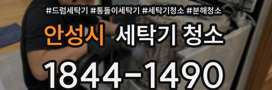 안성시 세탁기 청소