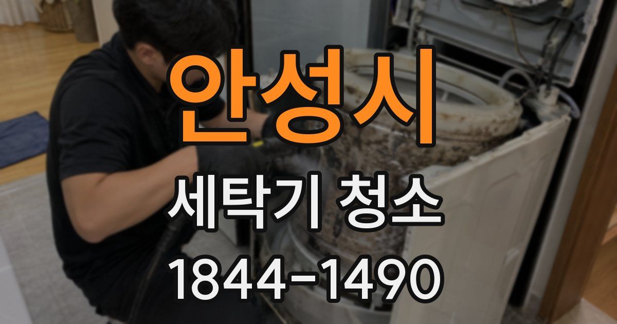 안성시 세탁기 청소
