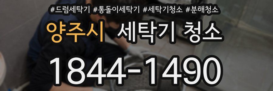 양주시 세탁기 청소