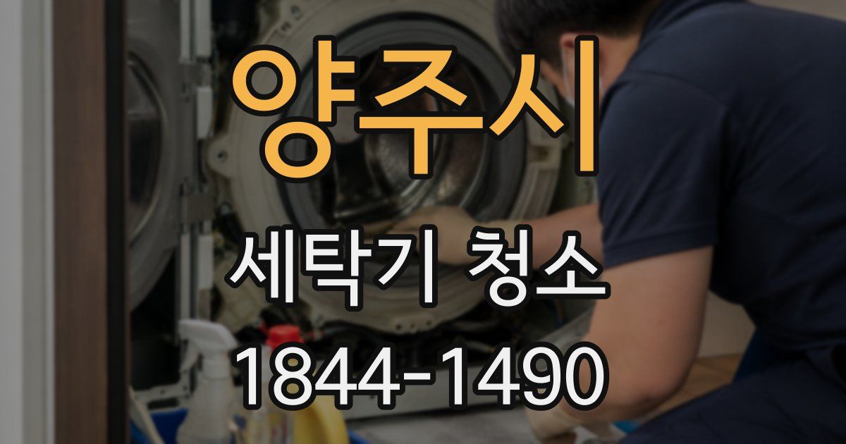 양주시 세탁기 청소