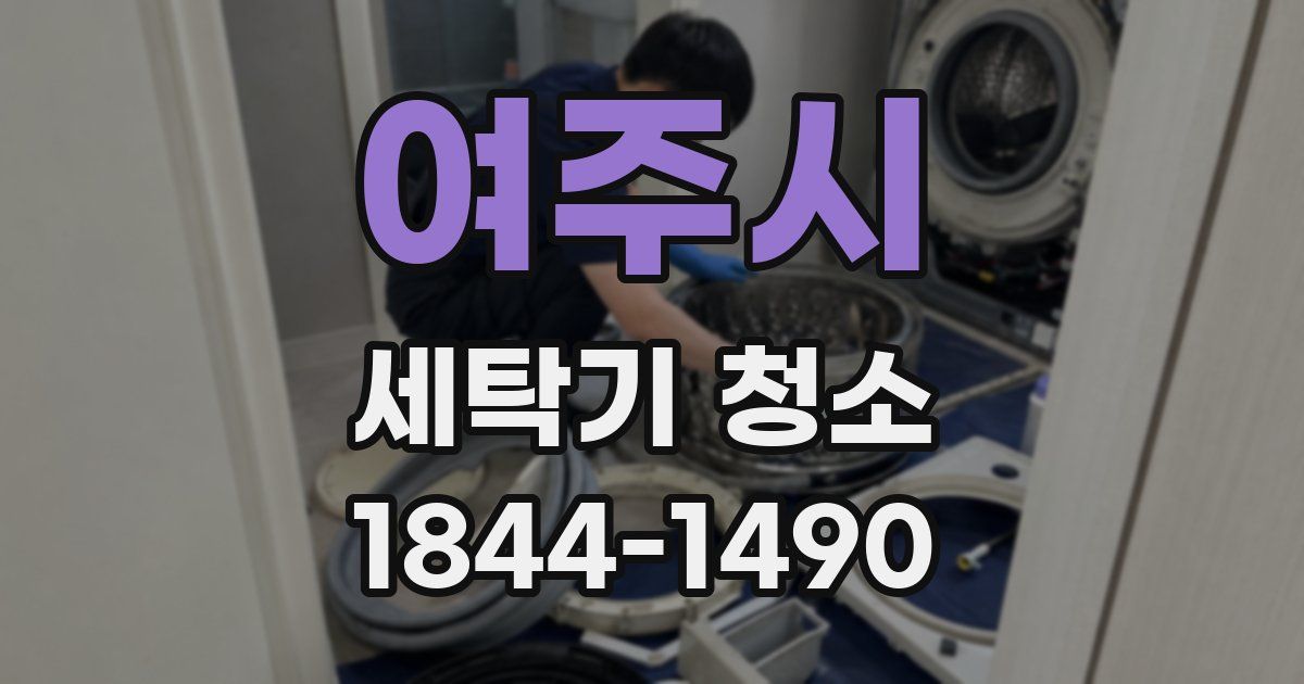 여주시 세탁기 청소