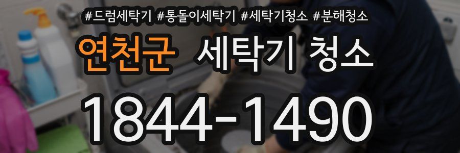 연천군 세탁기 청소