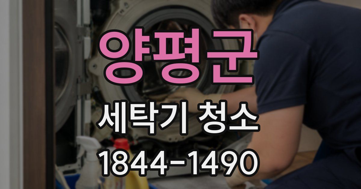 양평군 세탁기 청소
