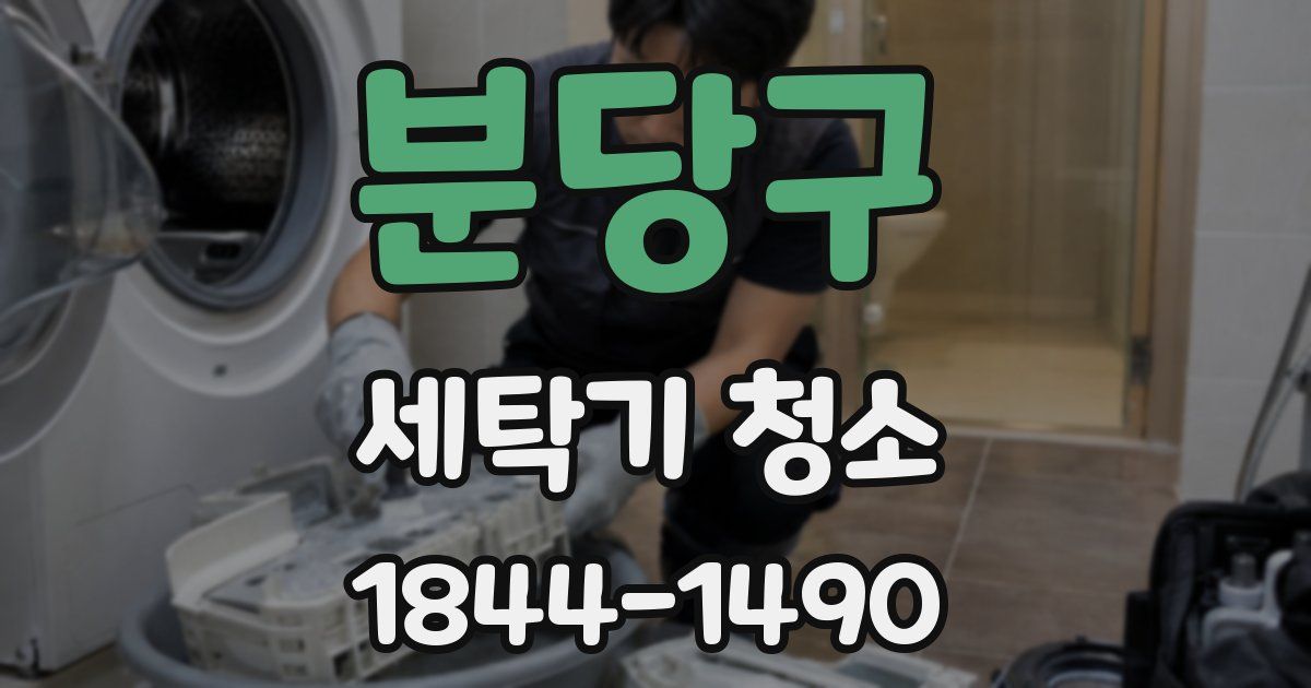 분당구 세탁기 청소
