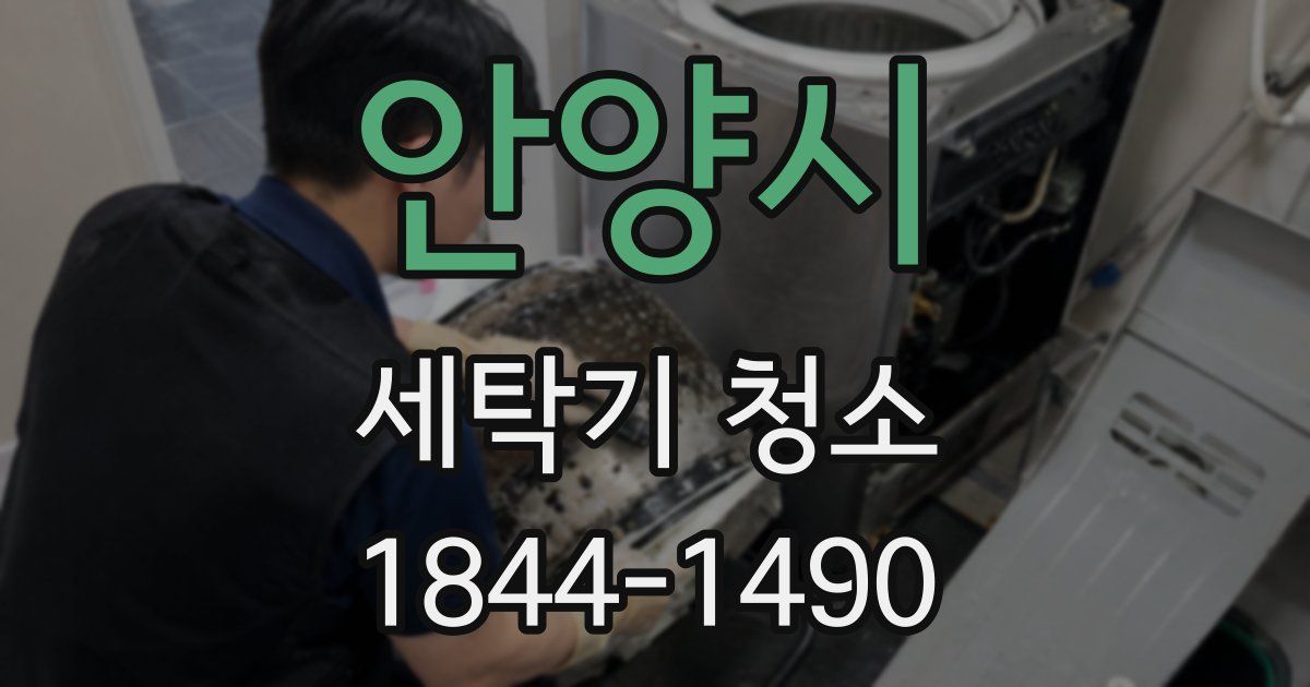안양시 세탁기 청소