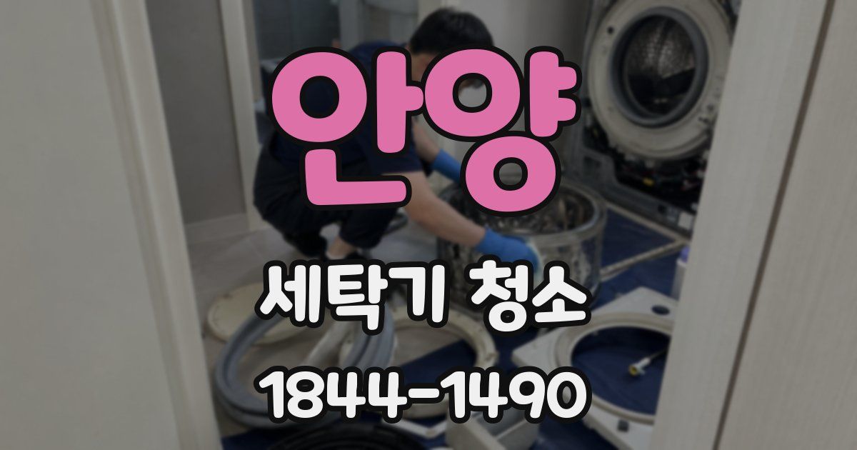 안양 세탁기 청소