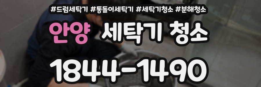 안양 세탁기 청소