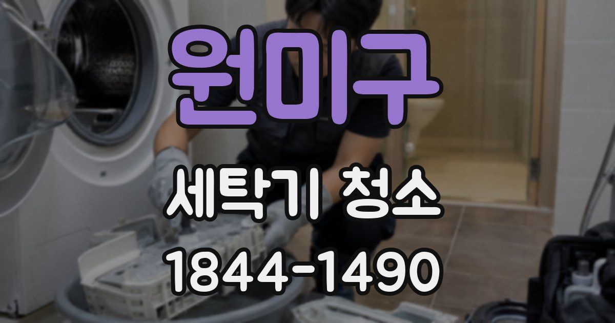 원미구 세탁기 청소