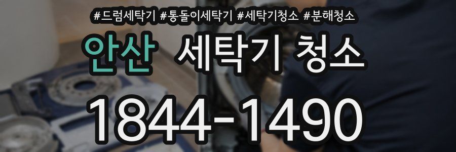 안산 세탁기 청소