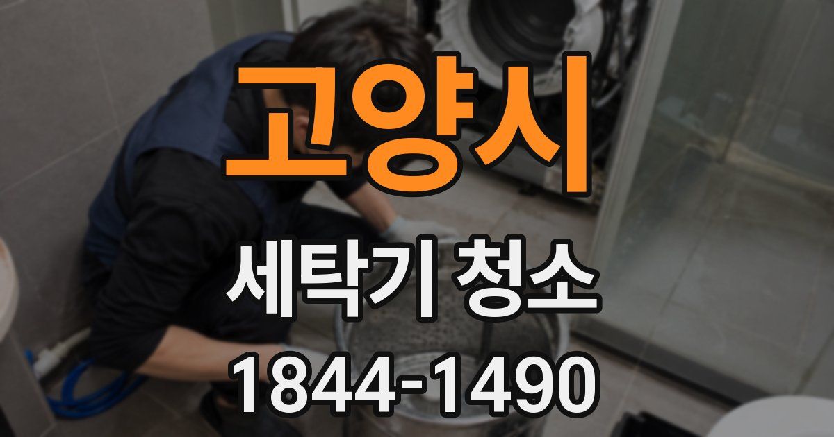 고양시 세탁기 청소