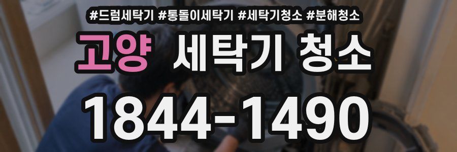 고양 세탁기 청소