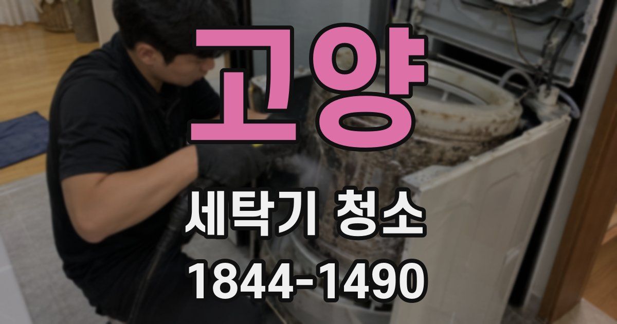 고양 세탁기 청소