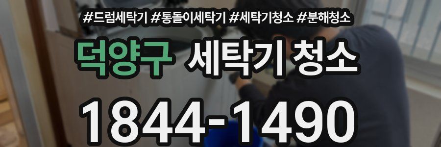 덕양구 세탁기 청소
