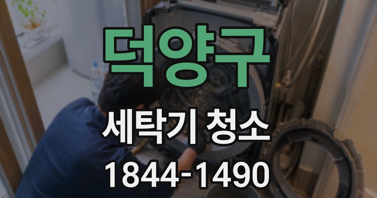 덕양구 세탁기 청소